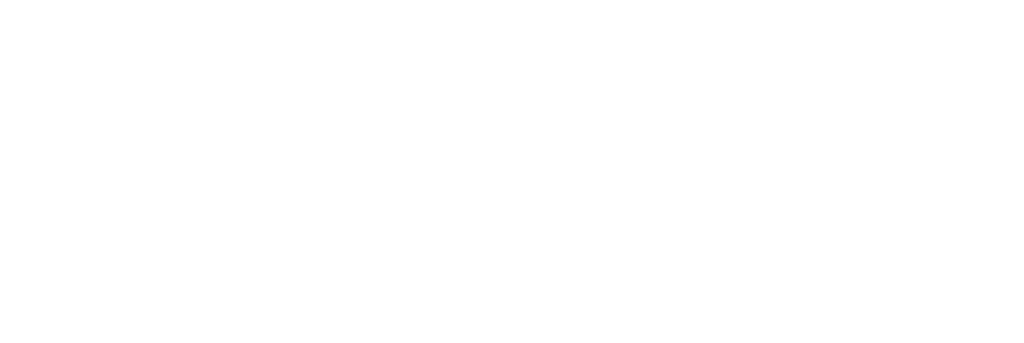 The Adelaide Psychological Services logo